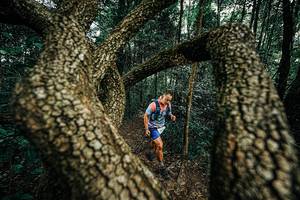 BIB: 
                            <button type="button" onclick="openModal(25393691)" class="btn btn-primary btn-sm float-right btn-popup" data-toggle="modal" data-target=".modal-high-quality">
                        <i class="fas fa-shopping-cart"></i> Add to Cart
                    </button>
                                            <button type="button" onclick="isThisMe(25393691, true)" class="btn btn-success btn-sm float-right btn-popup btn-isme hidden" data-toggle="tooltip" data-placement="bottom" title="นี่คือรูปของคุณใช่ไหม คลิกที่นี่เพื่อเอาเข้าอัลบั้ม">
                        <i class="fas fa-plus"></i> Add to album
                    </button>
                    <button type="button" onclick="isThisMe(25393691, false)" class="btn btn-warning btn-sm float-right btn-popup btn-isnotme hidden">
                        <i class="fas fa-ban"></i> Remove from album
                    </button>